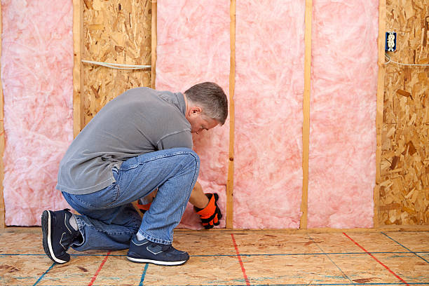 Best Insulation Inspection Services  in Pleasant Gap, PA
